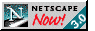 NETSCAPE 3.0