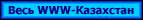  WWW-